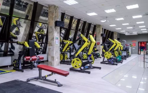 Cеть фитнес-клубов ALEX FITNESS  в  Перми