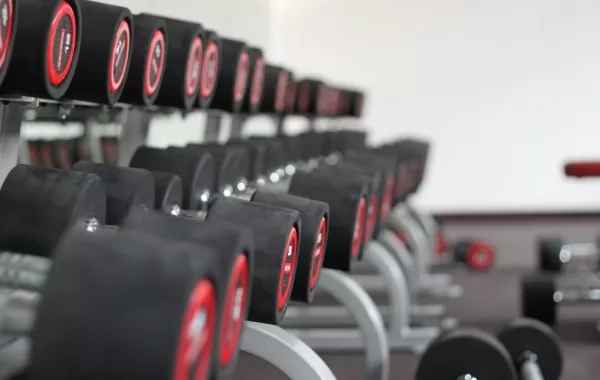 Cеть фитнес-клубов "ALEX FITNESS"