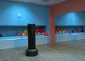 Миниатюра 11