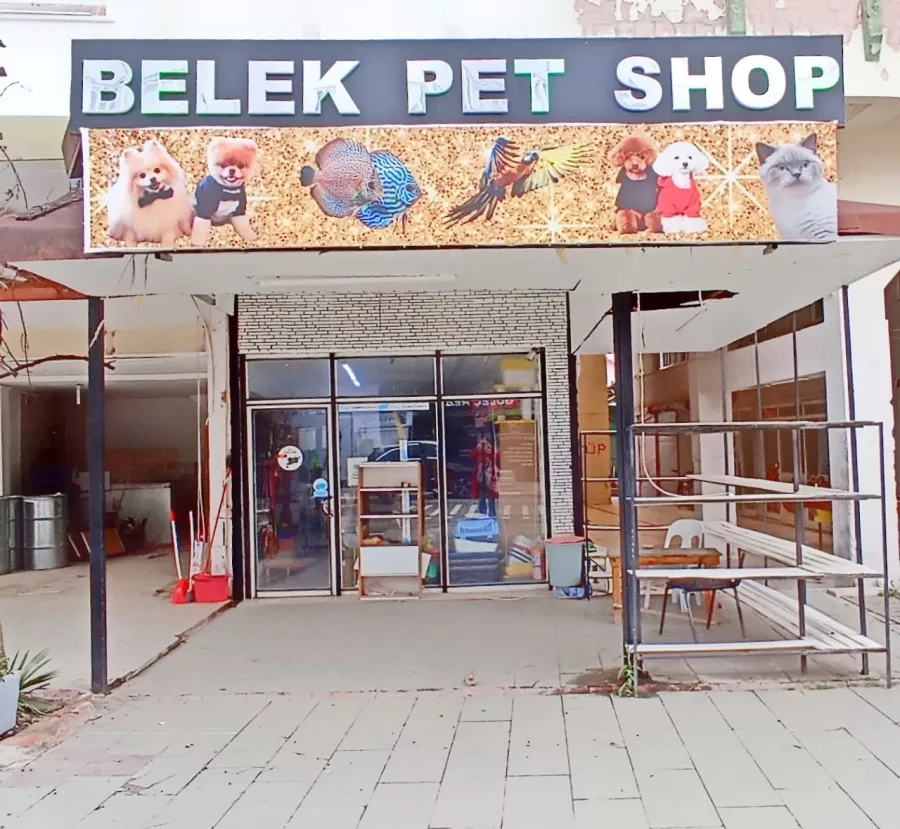 Зоомагазин Belek Petshop в Белек: Ветеринар, Зоомагазин, Товары для животных, Аквариум,