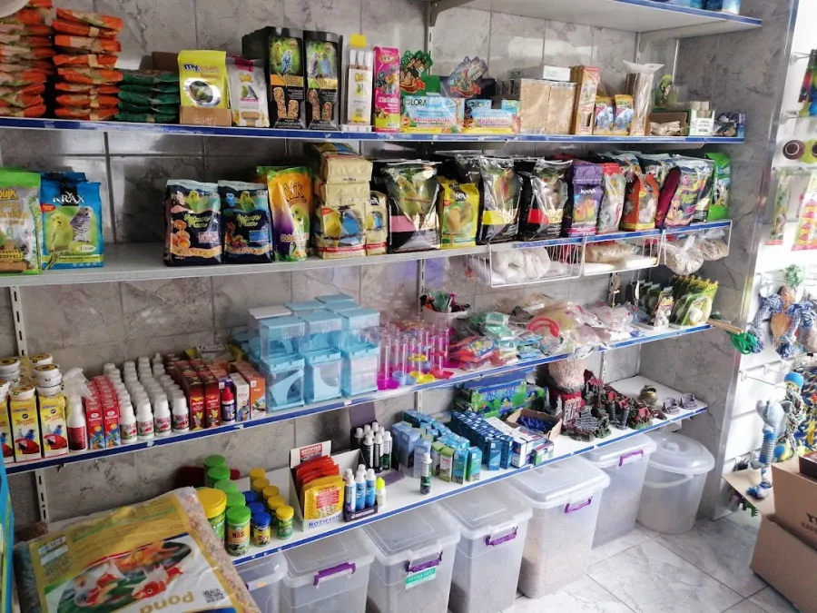 Зоомагазин Belek Petshop в Белек: Ветеринар, Зоомагазин, Товары для животных, Аквариум,