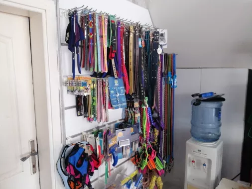 Зоомагазин "Belek Petshop".
