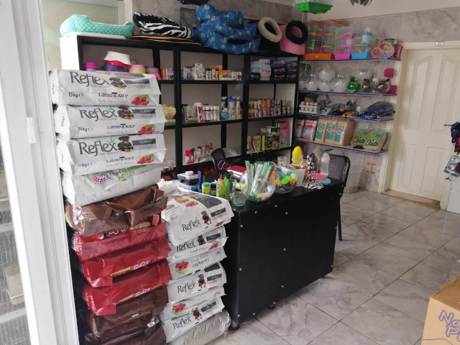 Зоомагазин Belek Petshop в Белек: Ветеринар, Зоомагазин, Товары для животных, Аквариум,