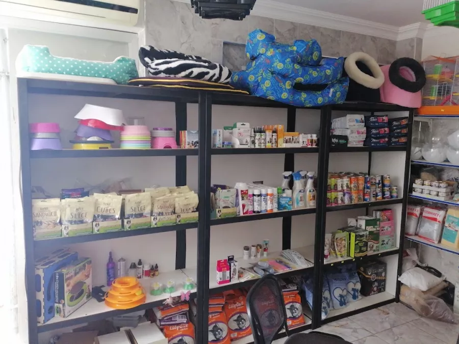 Зоомагазин Belek Petshop в Белек: Ветеринар, Зоомагазин, Товары для животных, Аквариум,