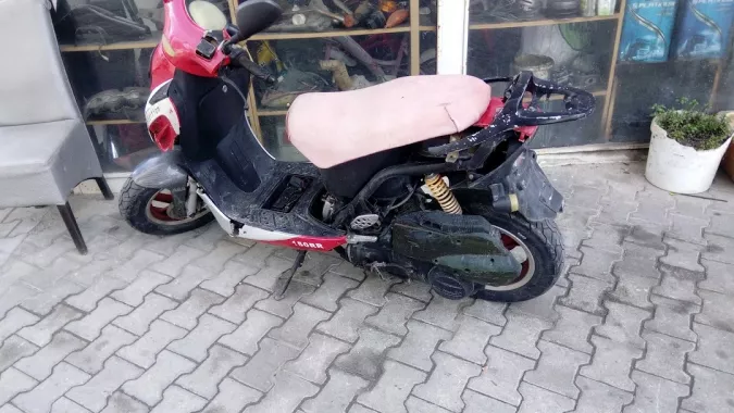 Зоомагазин "Belek Petshop".