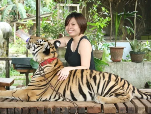 Зоопарк «Zoobic Safari»
