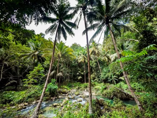 Водопады «Kawasan Falls»
