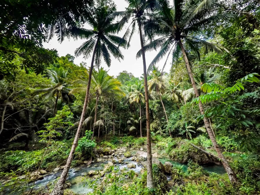 Водопады Kawasan Falls в Себу: Активный Отдых, Прыжки, Водопад, Река, Вода,
