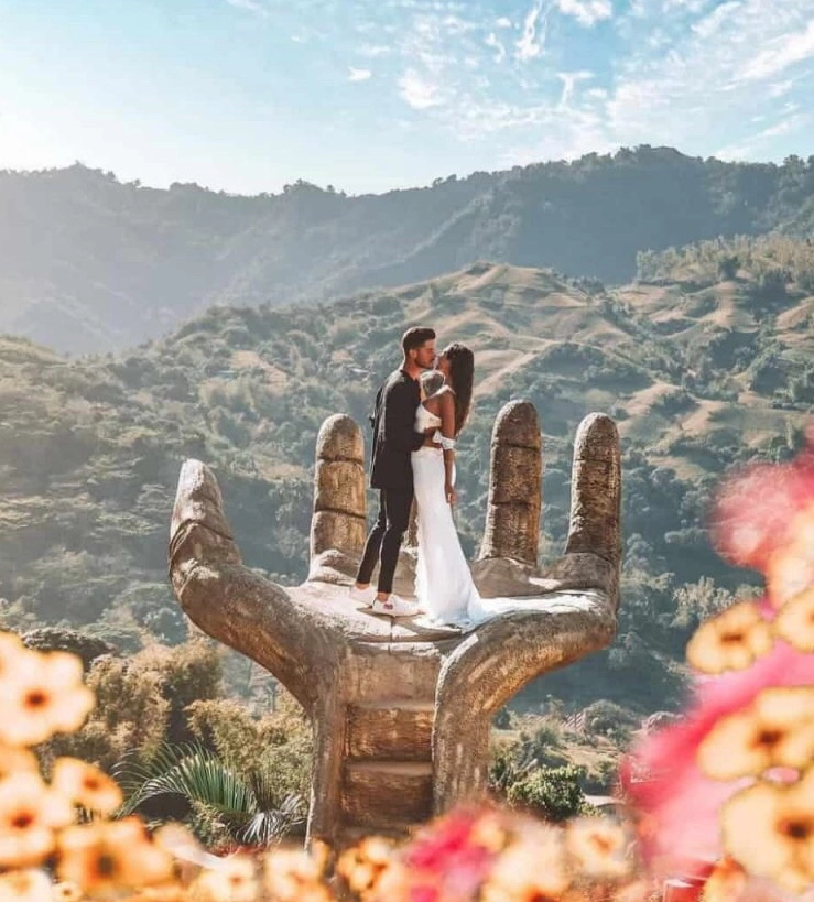 Сад Sirao Flower Garden в Себу: Сад, Цветы, Бассейн, Хобби,