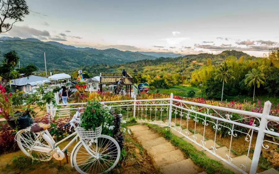 Сад Sirao Flower Garden в Себу: Сад, Цветы, Бассейн, Хобби,