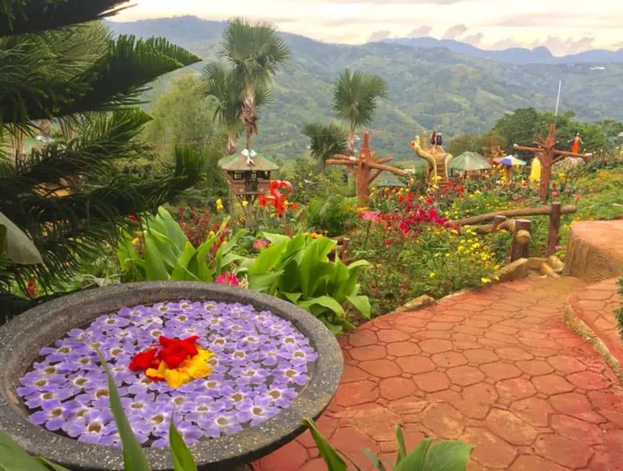 Сад Sirao Flower Garden в Себу: Сад, Цветы, Бассейн, Хобби,