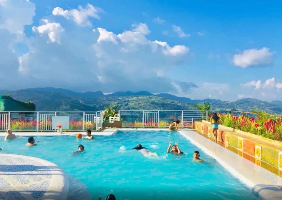 Сад Sirao Flower Garden в Себу: Сад, Цветы, Бассейн, Хобби,