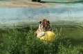 Миниатюра 8