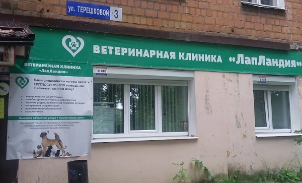 Ветеринарная клиника ЛапЛандия в Нижнем Новгороде: нижний новгород, помощь, диагностика, питомцы, фармакология, Следить за здоровьем, Клиника, Любимцы,
