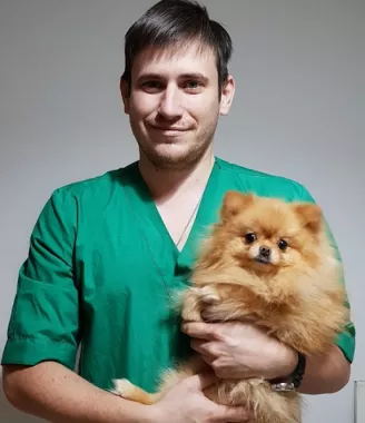 Ветеринарная клиника "ЛапЛандия".