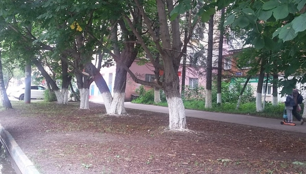 Ветеринарная клиника ЛапЛандия в Нижнем Новгороде: нижний новгород, помощь, диагностика, питомцы, фармакология, Следить за здоровьем, Клиника, Любимцы,