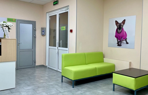 Ветеринарная клиника Феликс в Нижнем Новгороде: нижний новгород, помощь, специалисты, Клиника, Следить за здоровьем, Любимцы,