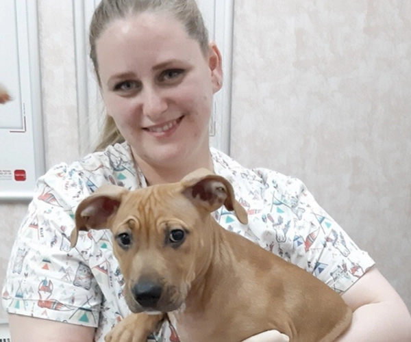Ветеринарная клиника Феликс в Нижнем Новгороде: нижний новгород, помощь, специалисты, Клиника, Следить за здоровьем, Любимцы,