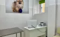 Миниатюра 10
