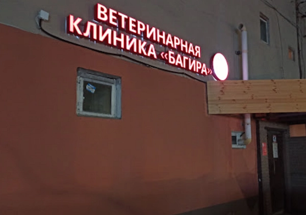 Ветеринарная клиника Багира в Нижнем Новгороде: нижний новгород, специалисты, ветеринары, помощь, Клиника, Любимцы,