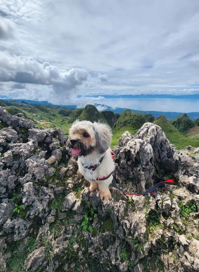 Гора Osmeña Peak в Себу: Лучше гор, Холмы, Вершина, Пик, Поход, Peak, Mountains,