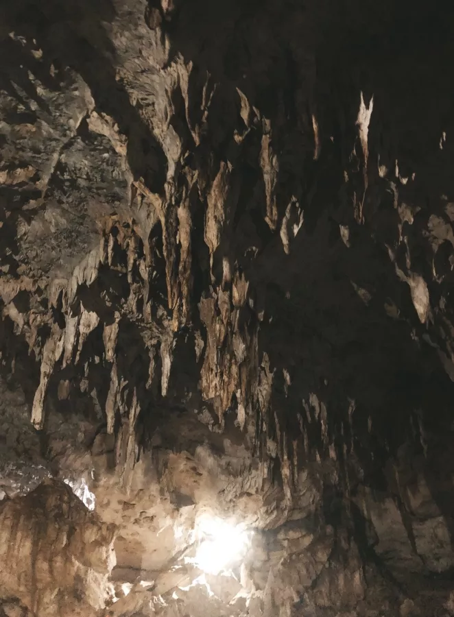 Пещера Hinagdanan Cave в Бохоль: Пещера, Лагуна, Погружение, Дайвинг, Diving, Laguna, Cave, Cave pool,