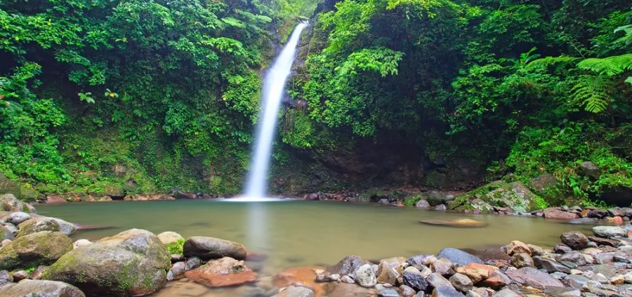 Круиз по реке Loboc в Бохоль: Река, Круиз, Водопад, Cruise, Waterfall,