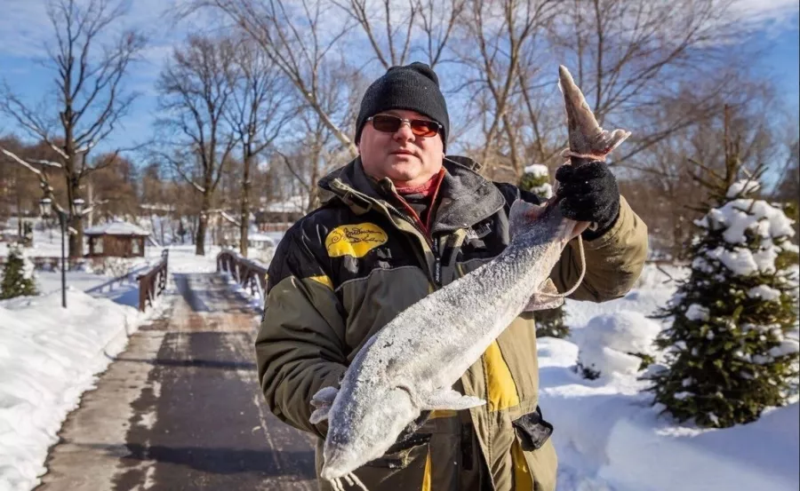 Загородный клуб ЗаВидное в Москве: Чилим, Рыбалка, Рыба, База отдыха,
