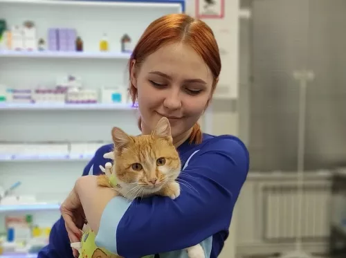 Ветеринарная клиника Ветклиника доктора Зубкова в Ростове-на-Дону