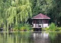 Миниатюра 10