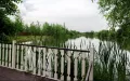 Миниатюра 36