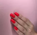 Миниатюра 18