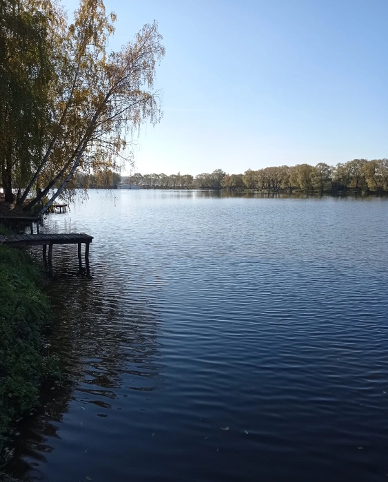 Рыболовная база Сосенки в Москве: Рыбалка, Рыба, Рыболовная база,