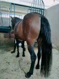 Миниатюра 7