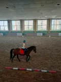 Миниатюра 10