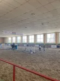 Миниатюра 11