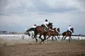 Миниатюра 13