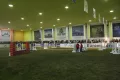 Миниатюра 15