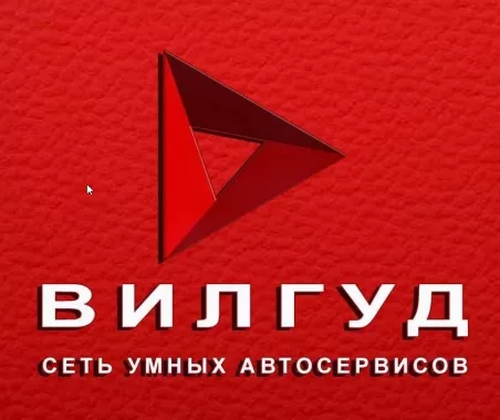 Сеть умных автосервисов "Вилгуд".