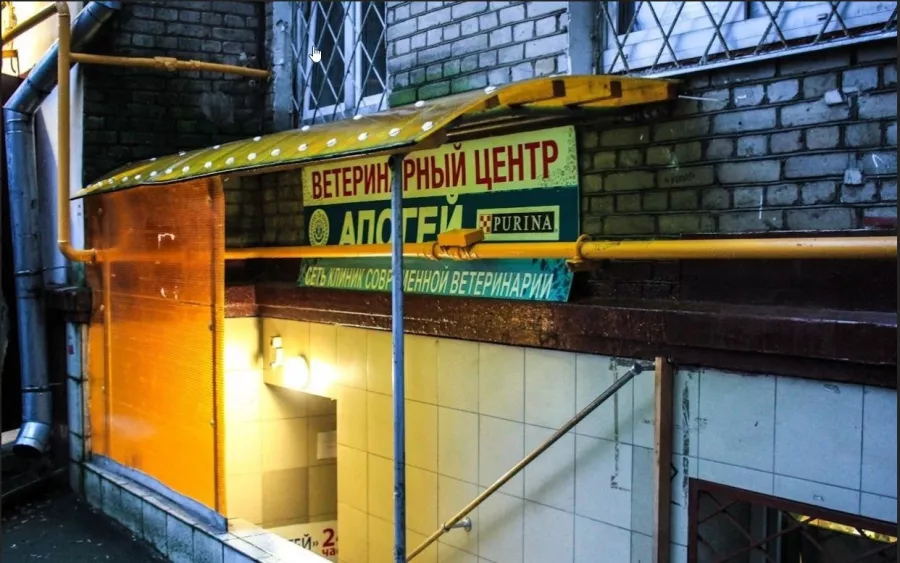 Ветеринарная клиника Апогей в Москве: Ветклиника, Ветеринарная лаборатория, Ветеринарная аптека, Груминг, Ветеринарная стоматология, Зоотовары, Выездные ветеринарные службы,