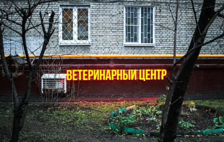 Ветеринарная клиника Апогей в Москве: Ветклиника, Ветеринарная лаборатория, Ветеринарная аптека, Груминг, Ветеринарная стоматология, Зоотовары, Выездные ветеринарные службы,