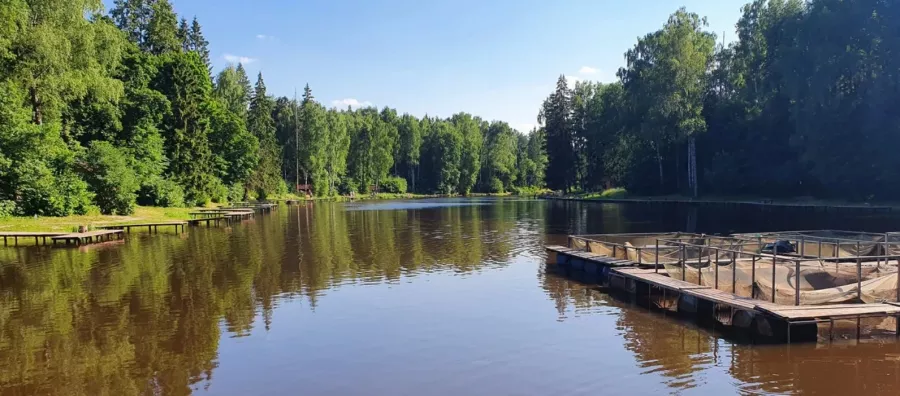 Рыболовный клуб Клевое место в Москве: Рыбалка, Чилим, Рыба, Рыболовный Клуб,