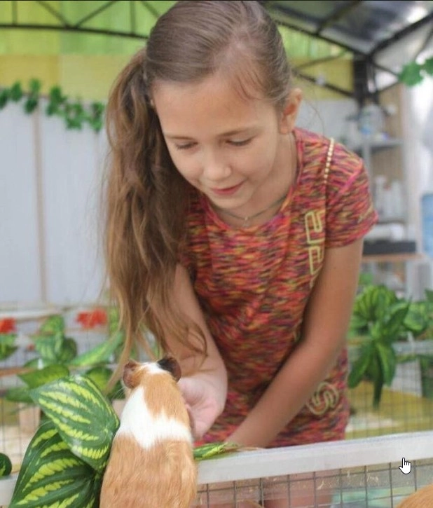 Сеть зоопарков ZOO-mini в Москве: Ручные домашние животные, Верховая езда, Мини-зоопарк,