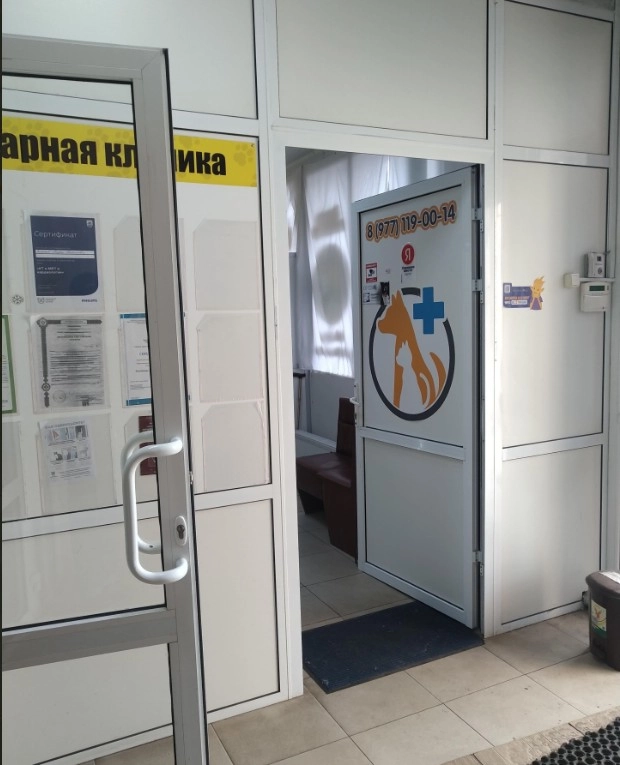 Ветеринарный центр Доктор пух в Москве: Ветеринар на дом, Ветеринар онлайн, Ветаптека, Груминг, Скорая помощь,