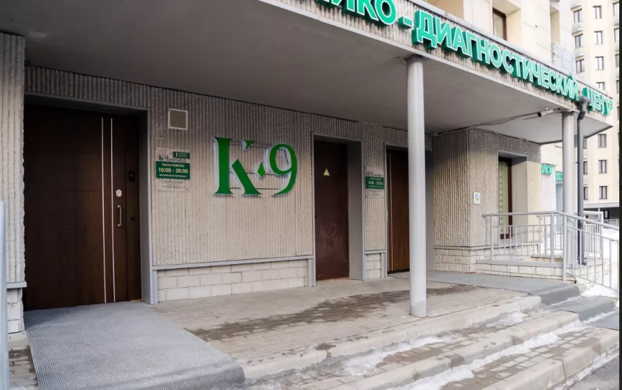 Клинико-диагностический центр К-9 в Видном: Выезд на дом, Гинекология, Косметология, Детская нейропсихология, Мануальная терапия, Массаж, Неврология, Медицинские справки, Педиатрия, Терапия, Диагностика, УЗИ,