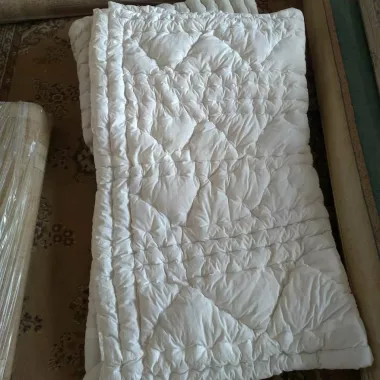 Химчистка в Ереване "ArmGorgCleaning".