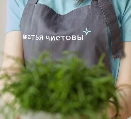 Клининговые услуги Братья Чистовы в Ростове-на-Дону