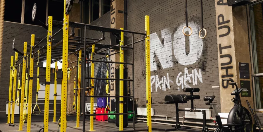 Фитнес клуб Alex Fitness в Подольске: Развитие, Спортзал, Фитнес, Бокс, Единоборства, Самбо, Борьба, Аэробика,