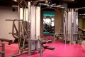Миниатюра 10