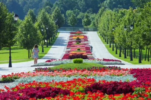 Музей-заповедник Царицыно  в  Москве